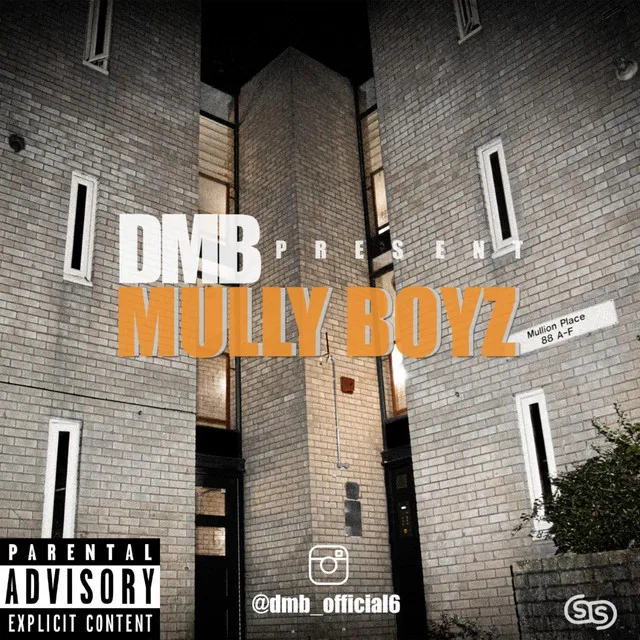 Mully Boyz (Mixtape)