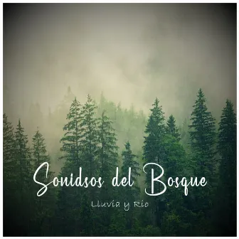 Sonidos del Bosque: Lluvia y Río by Sonidos de Lluvia by BNLXA