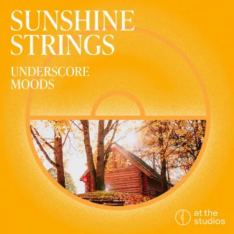 Sunshine Strings by Angus Thomas Nicholson