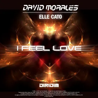 I Feel Love by Elle Cato