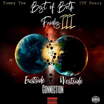 Best Of Both Families, Vol. 3 by Tummy Tee