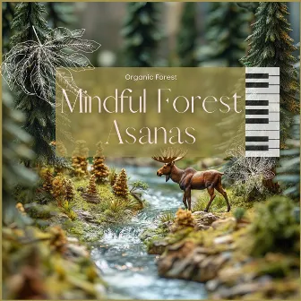 Mindful Forest Asanas by Sonotherapy