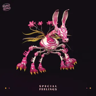 Special Feelings by Special Feelings