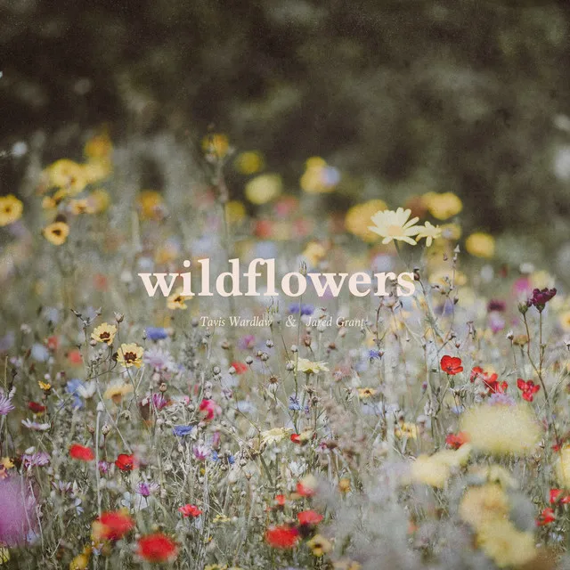 Wildflowers