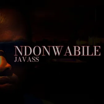 Ndonwabile by Javass