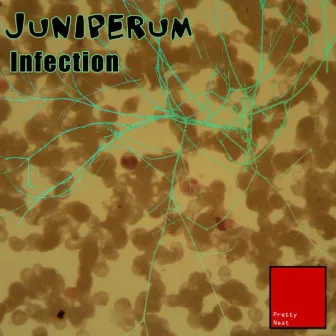 Infection by Juniperum