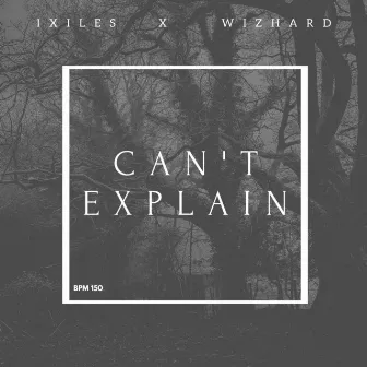 Can't Explain (Radio Edit) by Wizhard