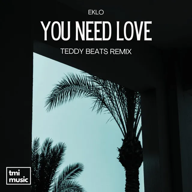 You Need Love - Teddy Beats Remix