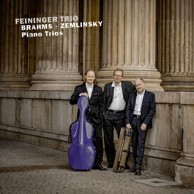 Brahms: Piano Trio No. 3 in C Minor, Op. 101; Zemlinsky: Piano Trio No. 3 in D Minor, Op. 3