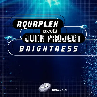 Brightness (DJ Sakin & Friends Mix) by Aquaplex