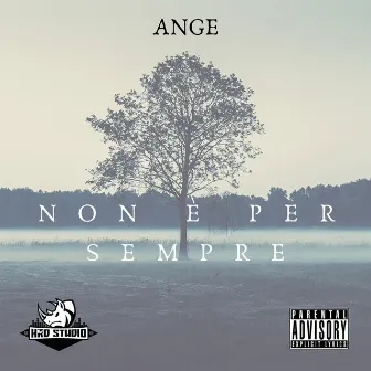 Non è per sempre by Ange