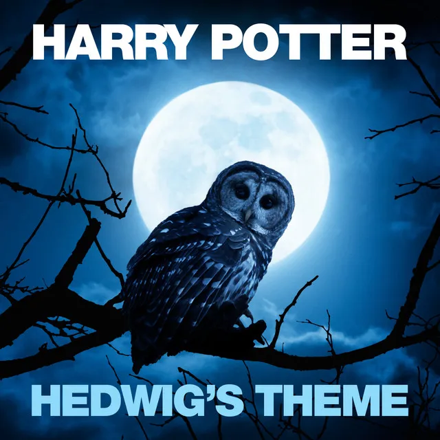 Hedwig's Theme (From 