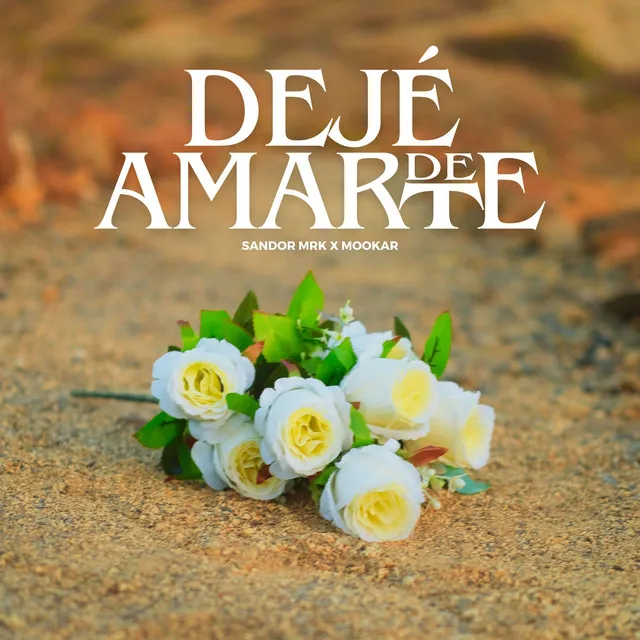 Dejé De Amarte