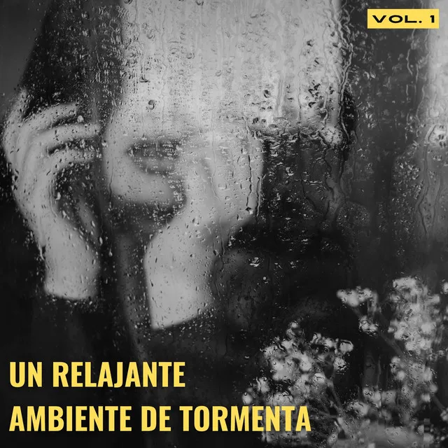 Un Relajante Ambiente De Tormenta Vol. 1