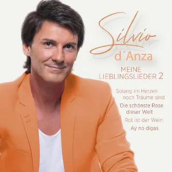 Meine Lieblingslieder 2 by Silvio d'Anza