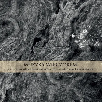 Muzyka wieczorem by Mirosław Czyżykiewicz