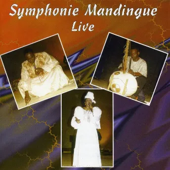 Symphonie Mandingue Live by Toumani Diabaté