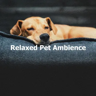 Relaxed Pet Ambience by Soothing Dog Music