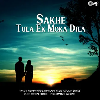 Sakhe Tula Ek Moka Dila by Unknown Artist