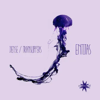 Entitas by Translippers