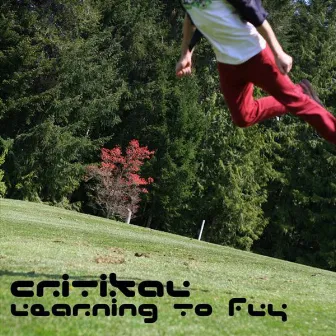 Learning to Fly (2002-2005) by Critikal