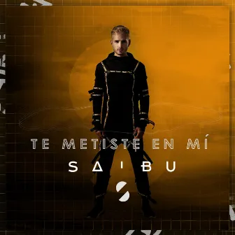 Te Metiste en Mí by SAIBU