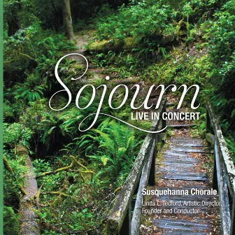 Sojourn (Live) by Linda L. Tedford