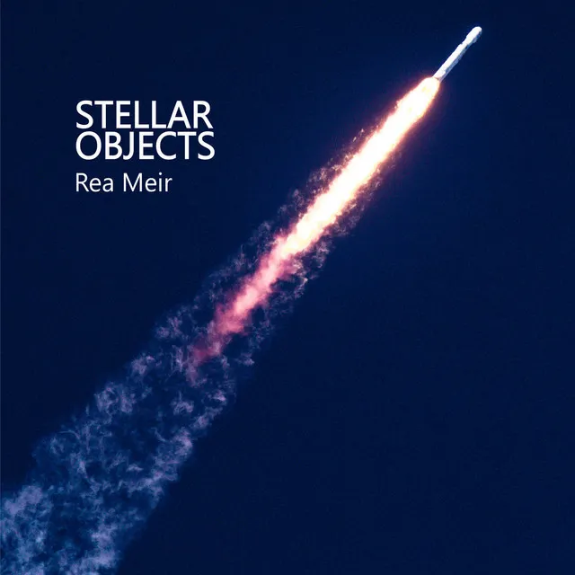 Stellar Objects