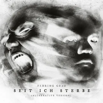 Seit Ich Sterbe (Alternative Version) by Fehring Grau