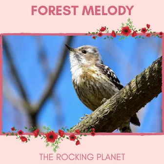 Forest Melody - The Rocking Planet by Nature Radiance Project