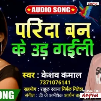 Parinda Banke Uda Gaiyle by Dj Abhishek