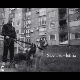 Istina by Sale Tru