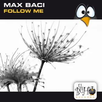 Follow Me by Max Baci