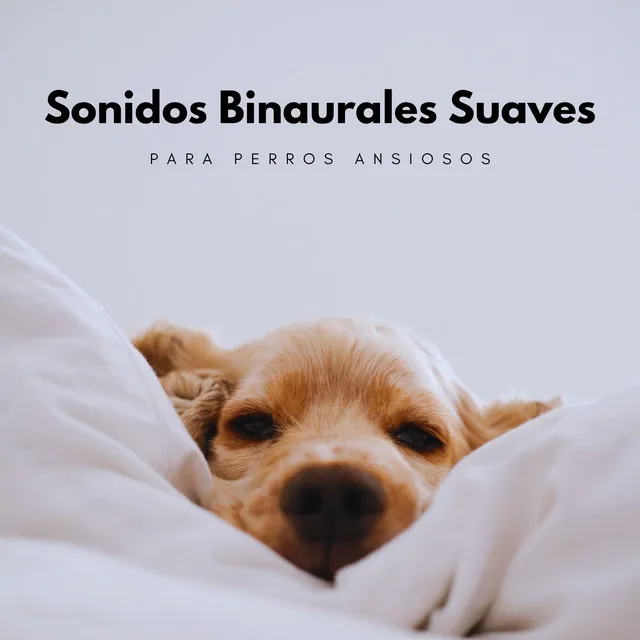 Sonidos Binaurales Suaves Para Perros Ansiosos