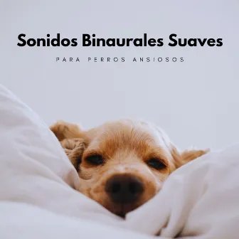 Sonidos Binaurales Suaves Para Perros Ansiosos by Bestia binaural