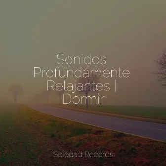 Sonidos Profundamente Relajantes | Dormir by Canciones de Cuna 101