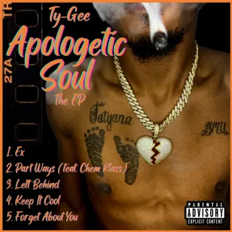 Apologetic Soul by Ty-Gee