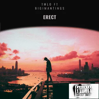 ERECT by TMLO