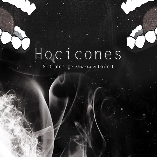 Hocicones