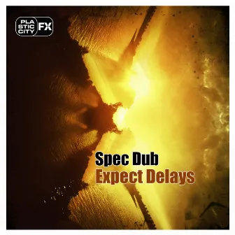 Expect Delays by SpecDub