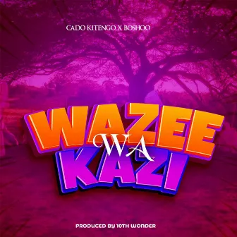 Wazee Wa Kazi by Boshoo