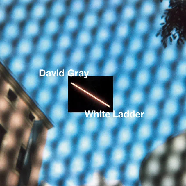 White Ladder