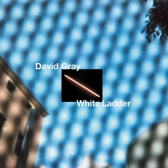 White Ladder by David Gray