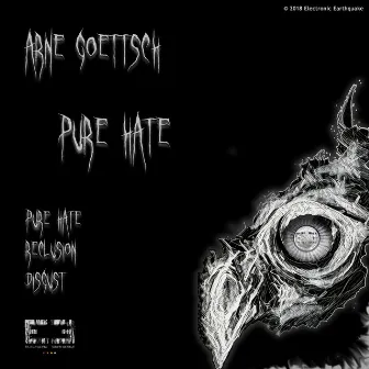 Pure Hate by Arne Goettsch