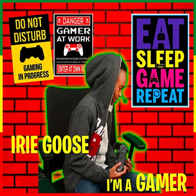 I'm a Gamer