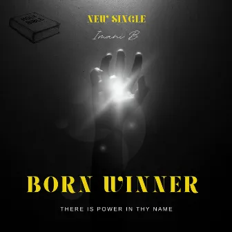 Born Winner by Imani B