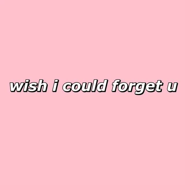 wish i could forget u