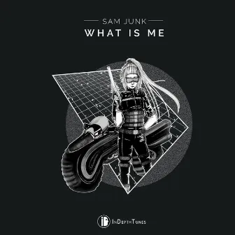 What Is Me by Sam Junk