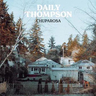 Chuparosa by Daily Thompson