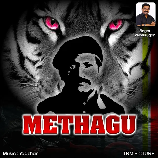 Methagu